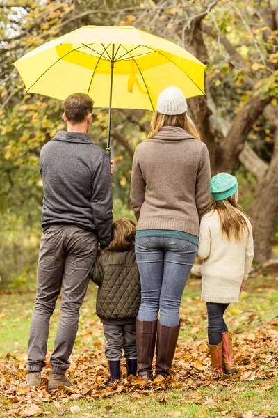 Vista trasera de la joven familia bajo el paraguas —  Fotos de Stock
