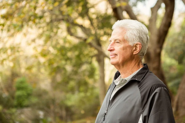 Senior man in the park — Stock Photo, Image