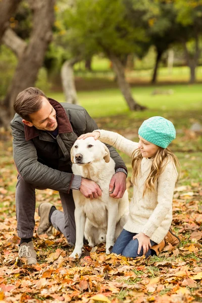 Bir köpek ile genç aile — Stok fotoğraf
