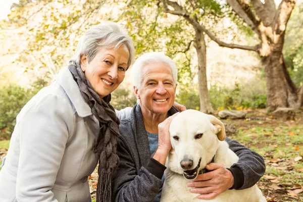 Senior couple in the park — Stock Photo, Image