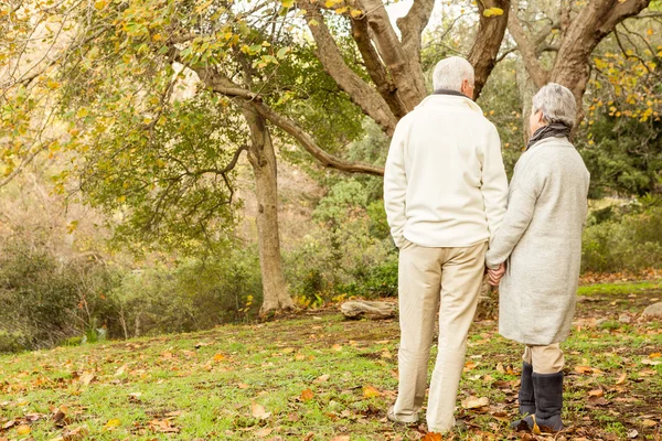 Seniorpar i parken – stockfoto