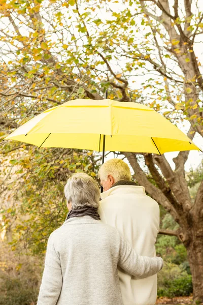 Senioren koppel in het park — Stockfoto