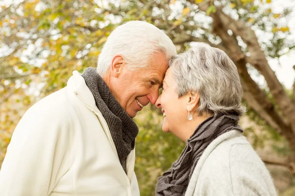 Senior par i parken — Stockfoto