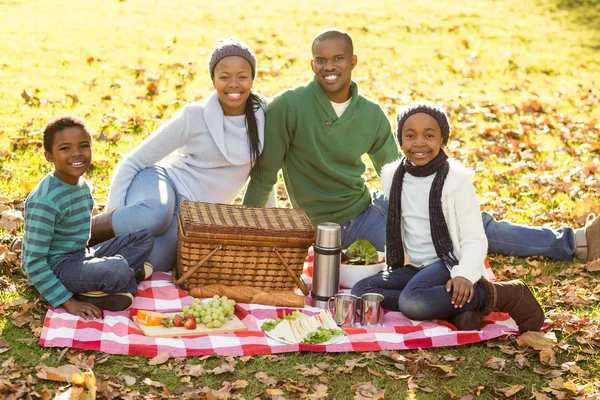 Fiatal, mosolygós család csinál egy piknik — Stock Fotó