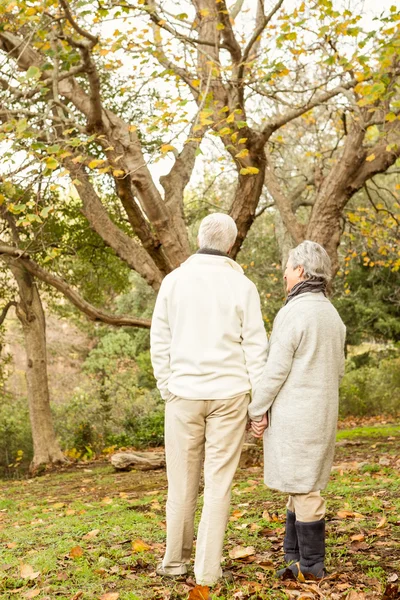 Para seniorów w parku — Zdjęcie stockowe