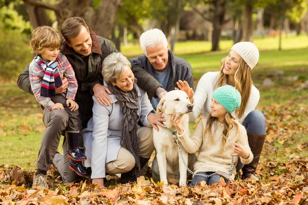 Ritratto di una famiglia allargata — Foto Stock