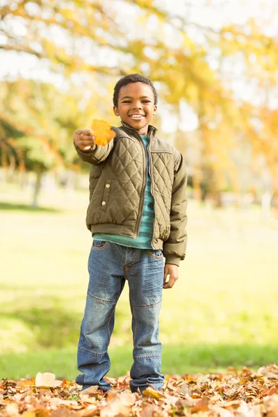 Portrait of a little boy showing leaves — Stock Photo, Image