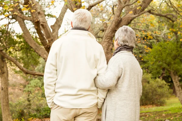 Seniorenpaar im Park — Stockfoto