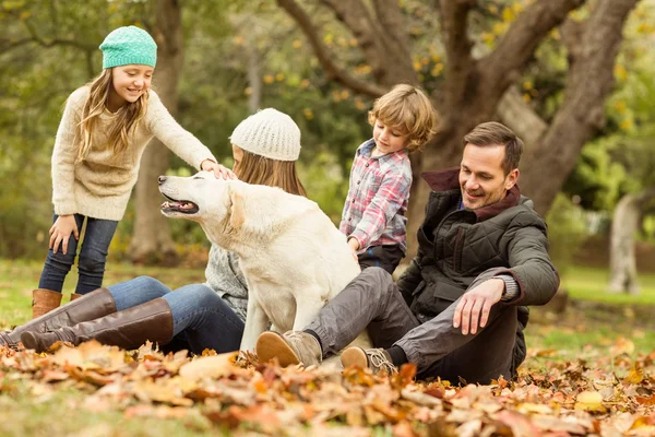 Bir köpek ile genç aile — Stok fotoğraf