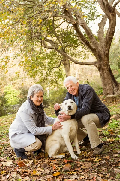 Senior par i parken — Stockfoto