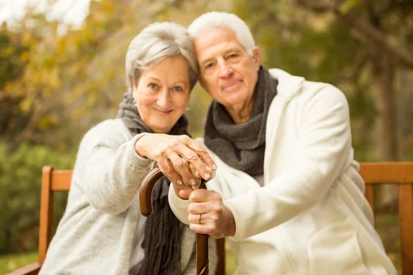 Senior couple in the park — Stock Photo, Image