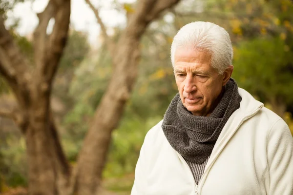 Senior man in het park — Stockfoto