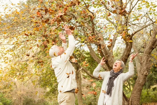 Senior par i parken — Stockfoto