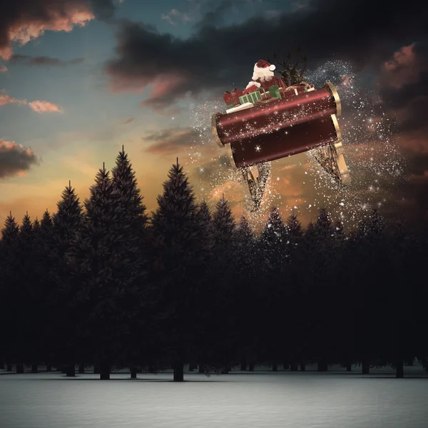 Lóg a karácsonyi fotók — Stock Fotó