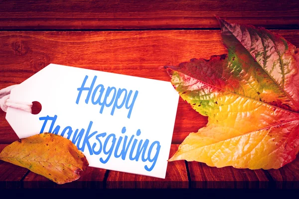 Happy thanksgiving day — Stockfoto