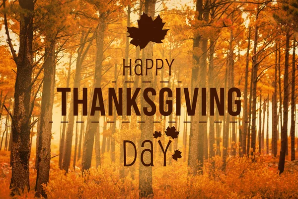 Happy thanksgiving day — Stockfoto