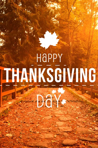 Happy thanksgiving day — Stockfoto