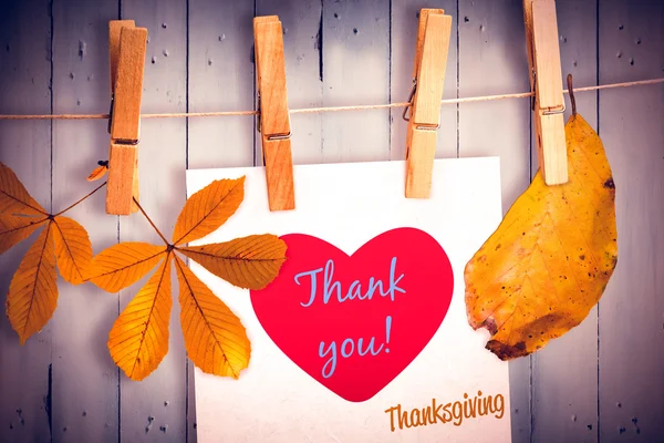 Clothespins holding thank you label — стоковое фото