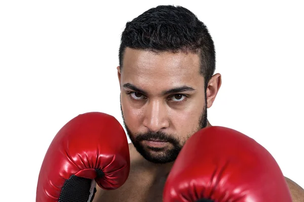 Homme musclé boxe dans des gants — Photo