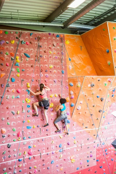 Fit women rock climbing indoors — Stock Photo, Image