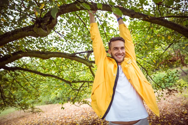 Bonito homem pendurado na árvore — Fotografia de Stock