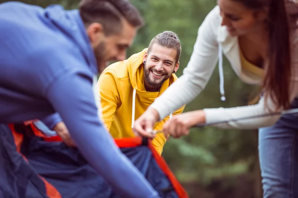 Friends setting up their tent — Stock Photo, Image