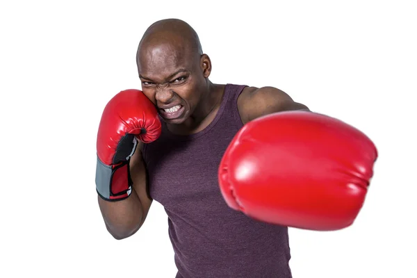 Hombre adecuado con guantes de boxeo —  Fotos de Stock