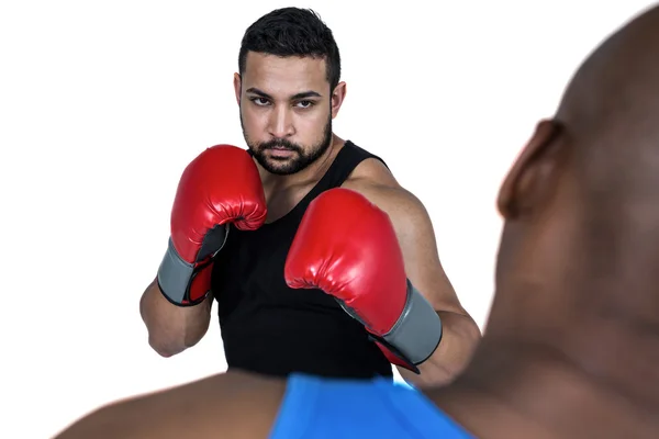 Treinador de boxe com seu lutador — Fotografia de Stock