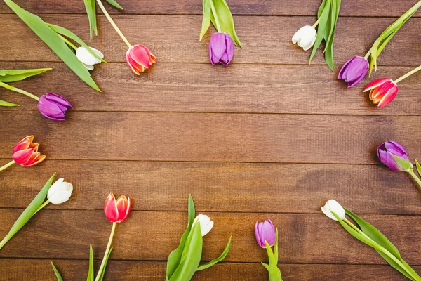 Circle of purple and red flowers — Stock Photo, Image