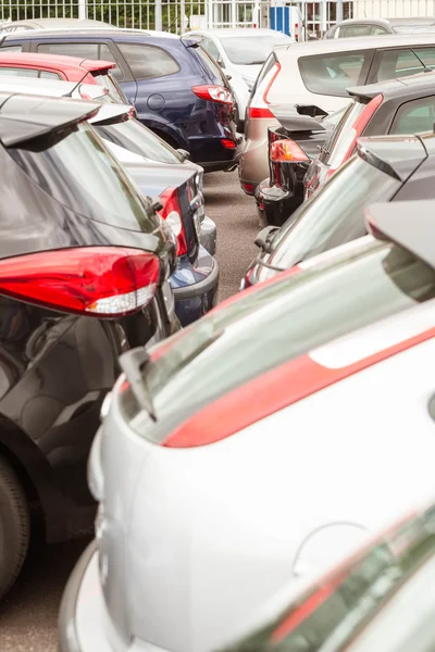 Fila de coches nuevos en la sala de exposición de coches nuevos — Foto de Stock