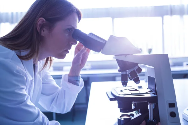 Scientist working with a microscope in laboratory — Stock Photo, Image
