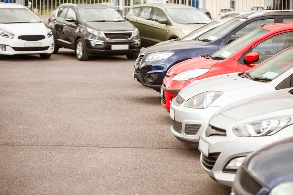 Fila de coches nuevos en la sala de exposición de coches nuevos —  Fotos de Stock