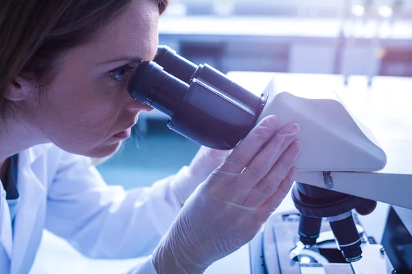 Wetenschapper werken met een microscoop in laboratorium — Stockfoto