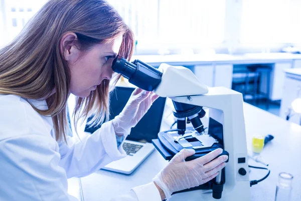 Científico trabajando con un microscopio en laboratorio —  Fotos de Stock