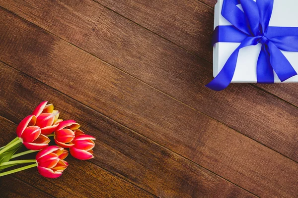 Вид на красные цветы и голубые подарки — стоковое фото