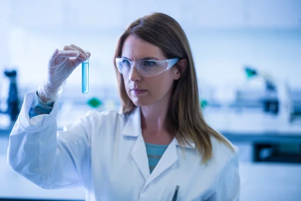 Scienziato che guarda la provetta in laboratorio — Foto Stock