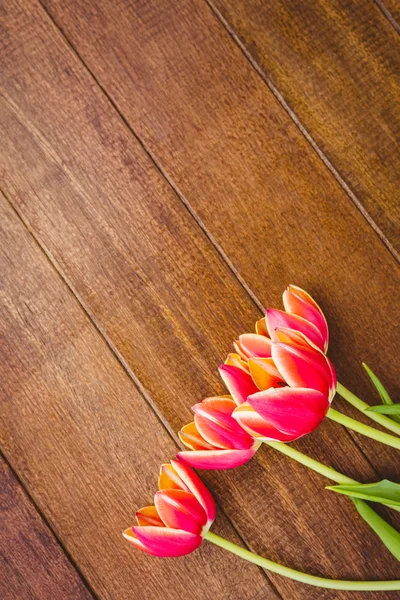 Pocas flores rojas hermosas contra tablón de madera —  Fotos de Stock