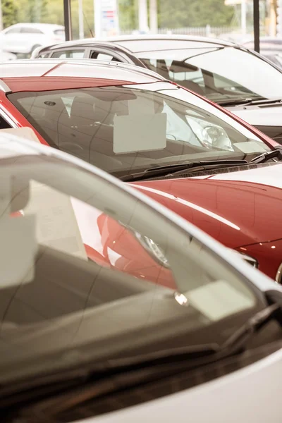 Fila de coches nuevos en la sala de exposición de coches nuevos —  Fotos de Stock