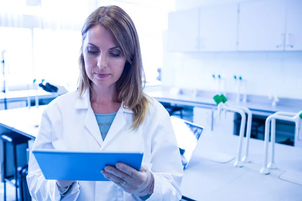 Cientista que trabalha no laboratório — Fotografia de Stock