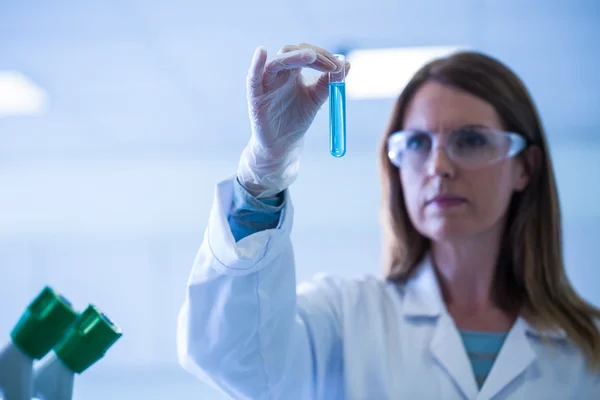 Cientista olhando para tubo de ensaio no laboratório — Fotografia de Stock