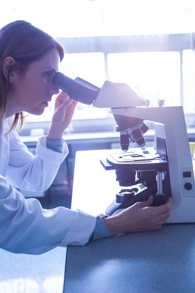 Wissenschaftler arbeiten mit einem Mikroskop im Labor — Stockfoto