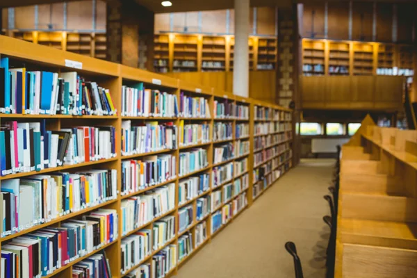 Bibliotheek van de Universiteit — Stockfoto