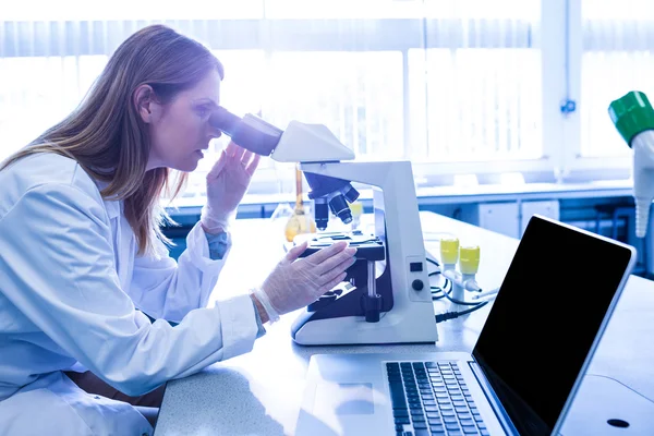 Científico trabajando con un microscopio en laboratorio — Foto de Stock