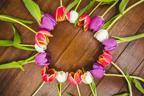 Círculo de flores moradas y rojas —  Fotos de Stock