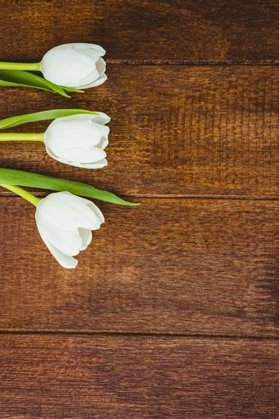 Pohled na málo bílé krásné květiny — Stock fotografie