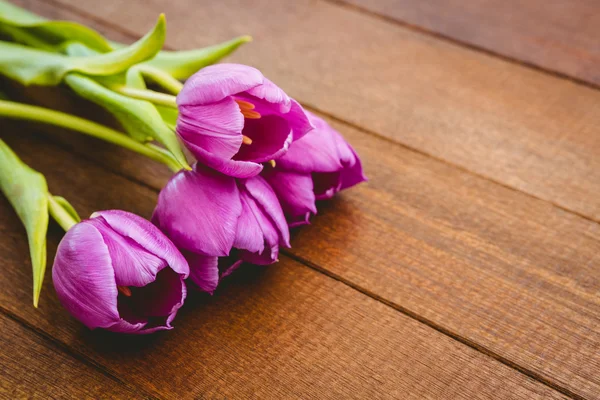 Birkaç güzel mor çiçekler — Stok fotoğraf