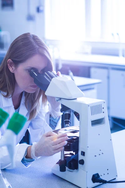 Cientista trabalhando com um microscópio em laboratório — Fotografia de Stock