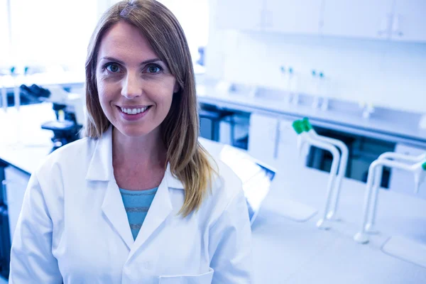 Cientista que trabalha no laboratório — Fotografia de Stock