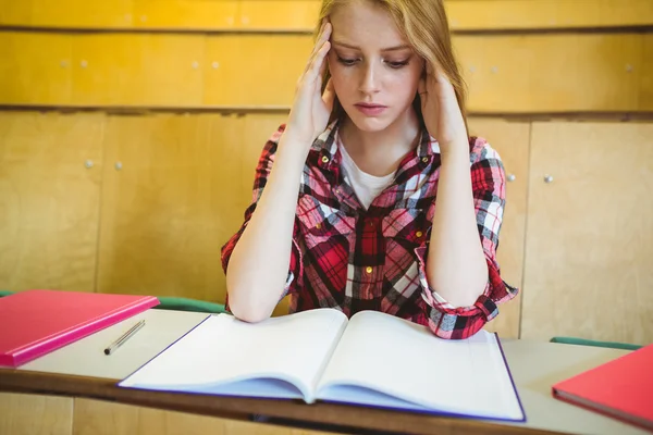 Estudiante enfocado estudiando en cuaderno — Foto de Stock