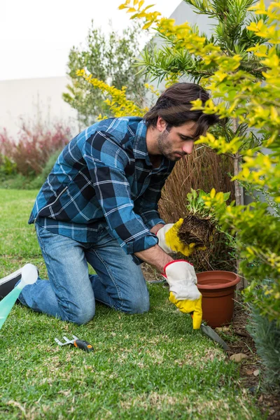 Schöner Mann bei der Gartenarbeit — Stockfoto